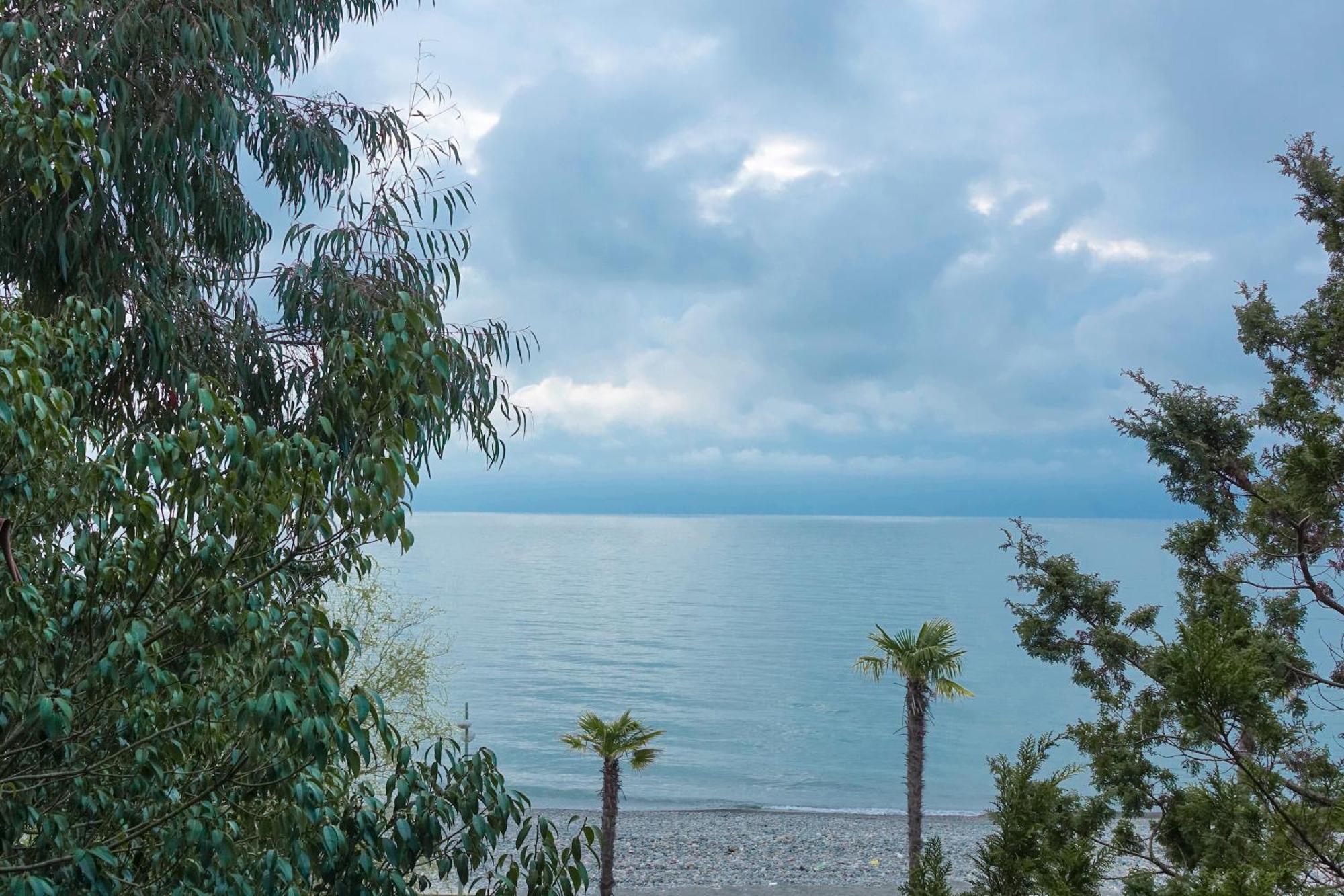 Luxury Dreamland Oasis Apartments Chakvi Dış mekan fotoğraf